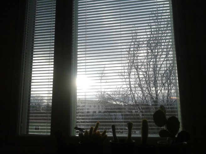 En föraning om vår fastän dagen bjudit på hård blåst och snöblandat regn.