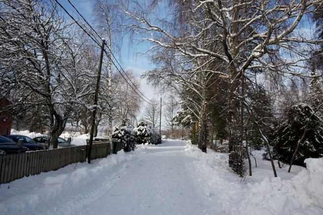 Solen tittade fram mitt på dagen och naturen är så otroligt vacker just nu.