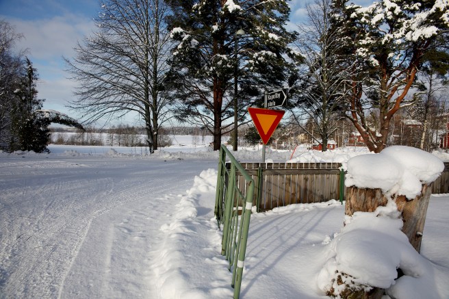 Från skolgården till träsket är det inte många hundra meter.