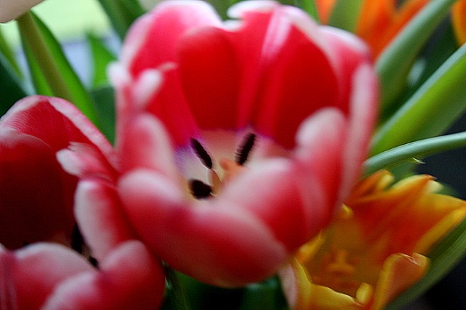 Snart är våren här på riktigt!