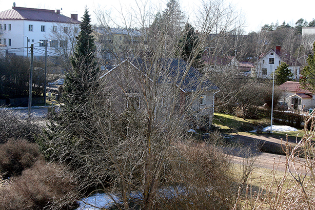 En snöfläck med på den här bilden också :-)