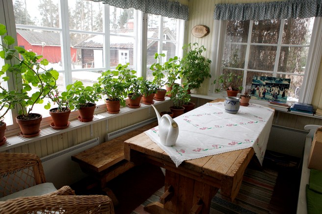 Härlig veranda med vackra pelargoner.