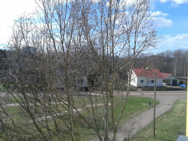 Trädet som står till höger om min balkong och rakt framför fönstret till arbetsrummet har knoppar men inte så mycket mer än det :-)