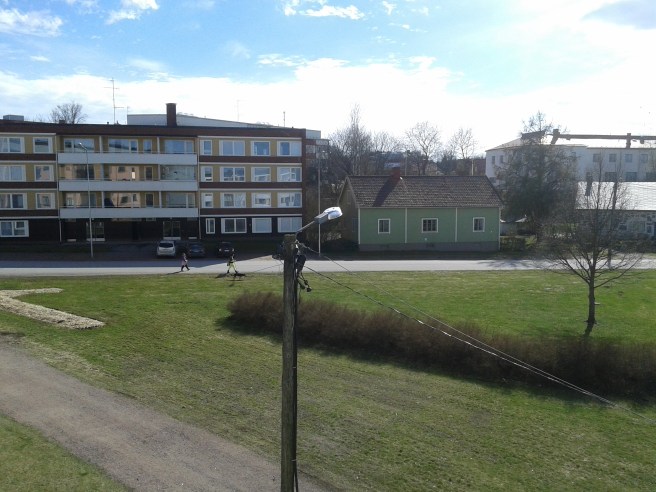 Ganska grönt, men än ligger skyddsmaterial på planteringen längst till vänster på bilden.