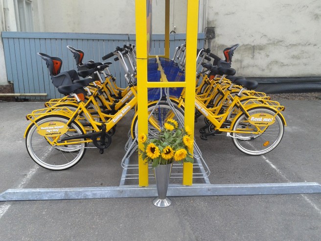 Lovisa har fått cyklar till uthyrning.