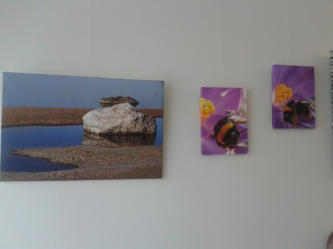 Ytterliga tre foton av Husberg.