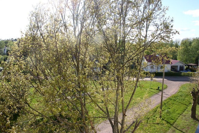 Utsikten mot nordväst.