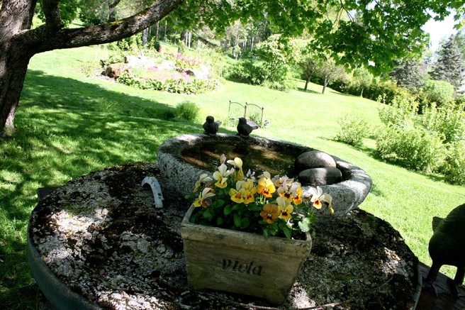 Fåglarna gillar sitt bad fastän dom inte var där då jag kom med kameran.