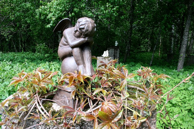 Av den gamla handelsträdgårdens växthus finns bara stenfötter kvar. Men de omges av vacker grönska och prydnader. Fågelsången är också underbar här intill skogen, humlor surrar och fjärilar fladdrar omkring.