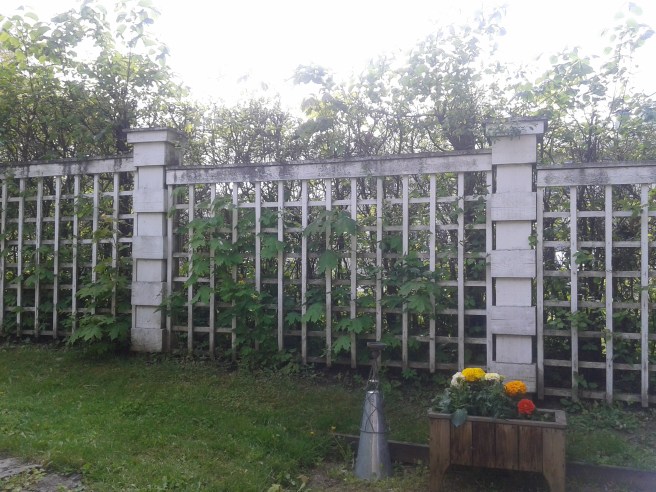 Gårdsvy på Degerby Gille.