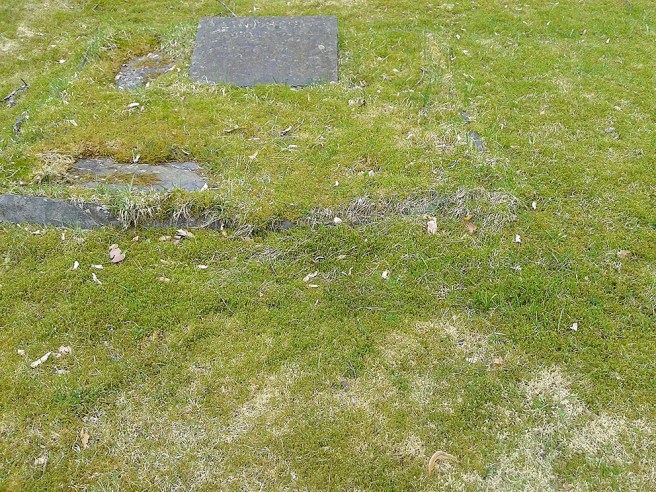 Gravsten på marken.