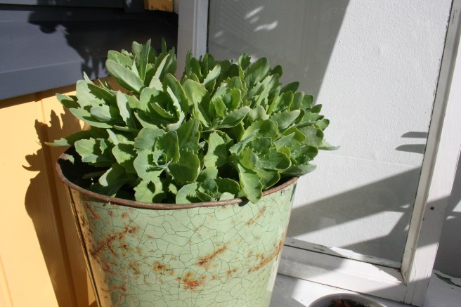 Blev väl rätt fint i slutändan ändå :-)