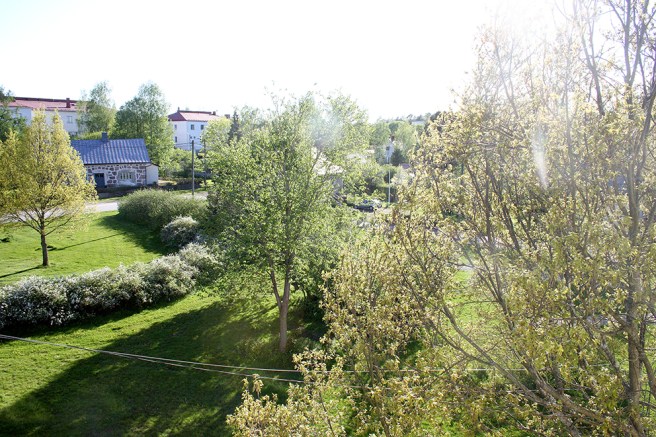 Grönt är skönt och klart att jag valde att fotografera en dag då solen sken. Utsikten mot väst.