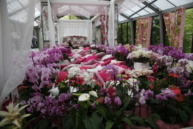 En enorm säng av blomster i Keukenhofs orkidépaviljong.
