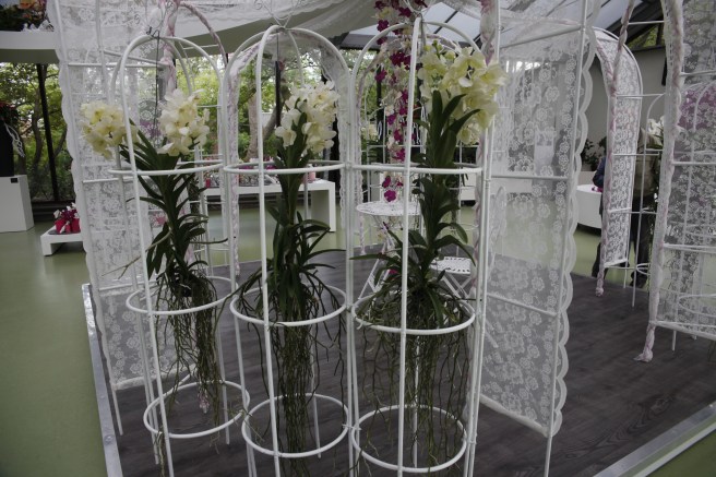 Ingen mylla här inte, men orkidéerna trivs.