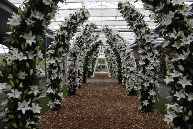 En spaljé av liljor i Keukenhof.