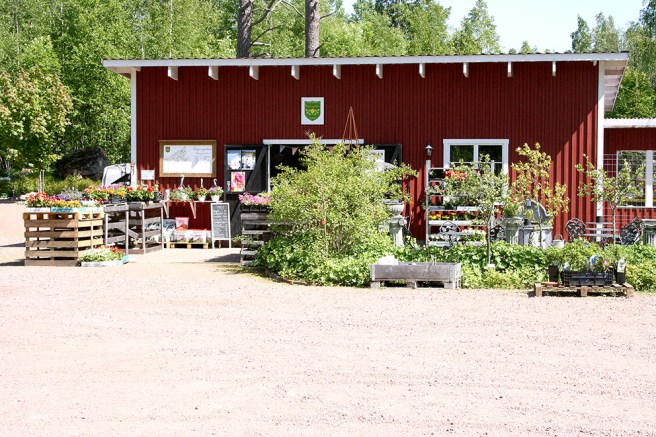 Från Eijas Garden köpte min syster växter till trädgården och jag sådana jag kan ha på fönsterbrädet i köket.