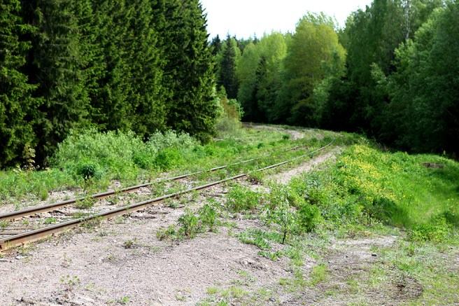 Vem har dragit en järnväg mitt i skogen?
