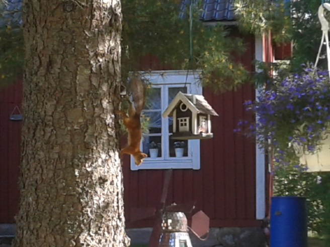 Mums, mums - nötterna i huset är mina!