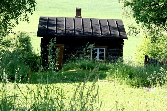 På pausen gick vi runt  på  det idylliska området. Är inte det sommaren när den är som bäst, säg?