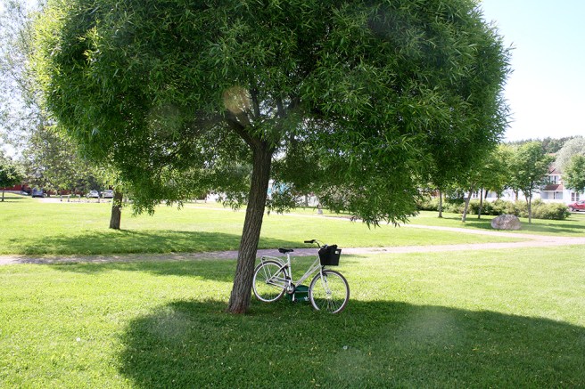 Min cykel som jag köpte i fjol våras och som jag haft mycket glädje av.