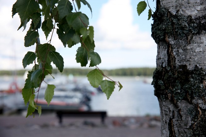 Sommar vid Skeppsbroområdets strand.