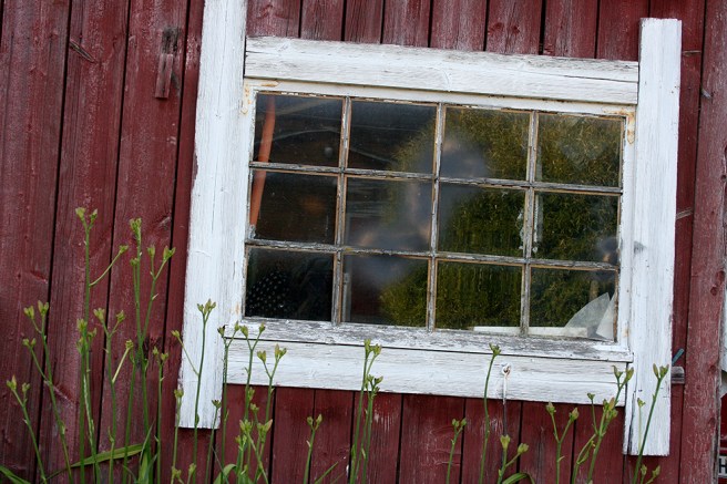 Också här speglar sig träd i fönstret.