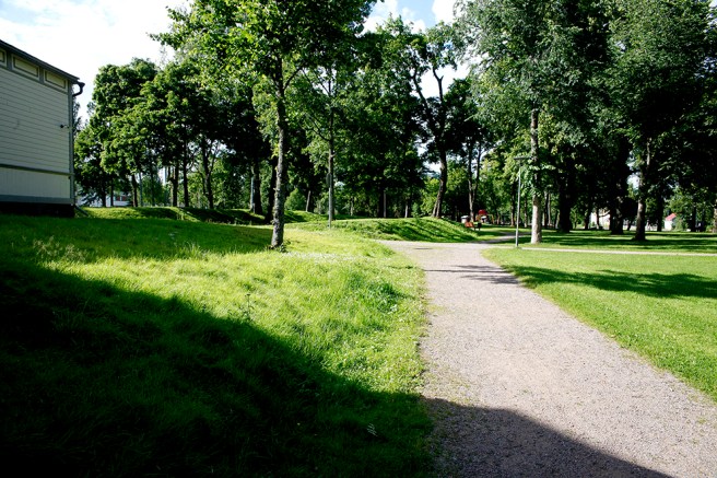 Mera grönska men inte så mycket liv och rörelse :-)