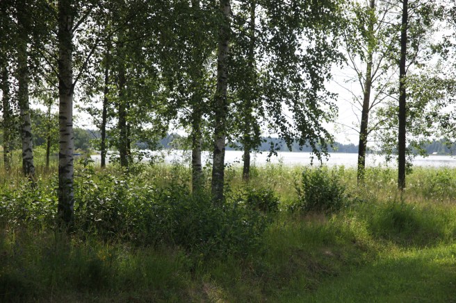 Utsikt från mattvättningsplatsen på Sågudden över en del av Lovisaviken.