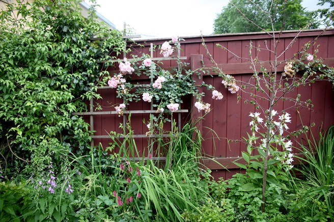 Alla blommor och det gröna lummiga gör sitt för att stämningen på gården är underbar.