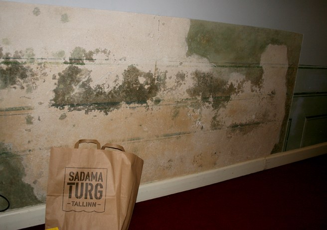 En del av väggen i vårt rum. Inget mögel dock :-)