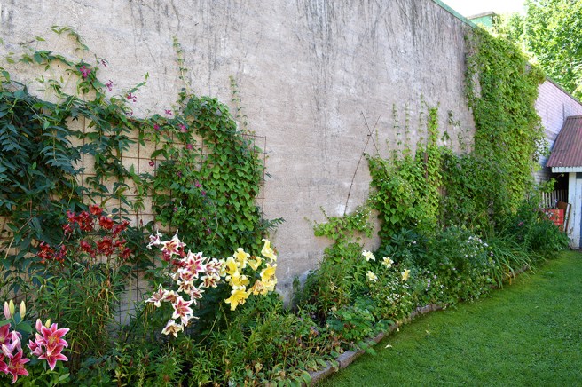 Helt underbart med klängväxter mot en sådan här vägg.