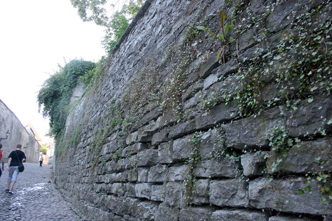 En av de många otroligt vackra murarna i Tallinn.