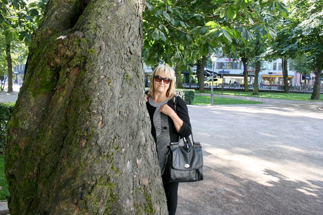 Det här trädet finns i Esplanadparken i Helsingfors.