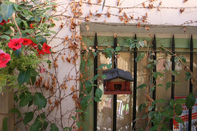 En vägg på innergården.