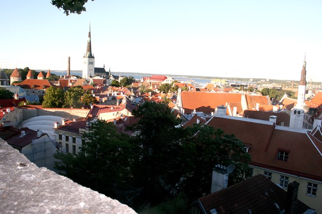 Utsikt över takåsarna åt ett håll...