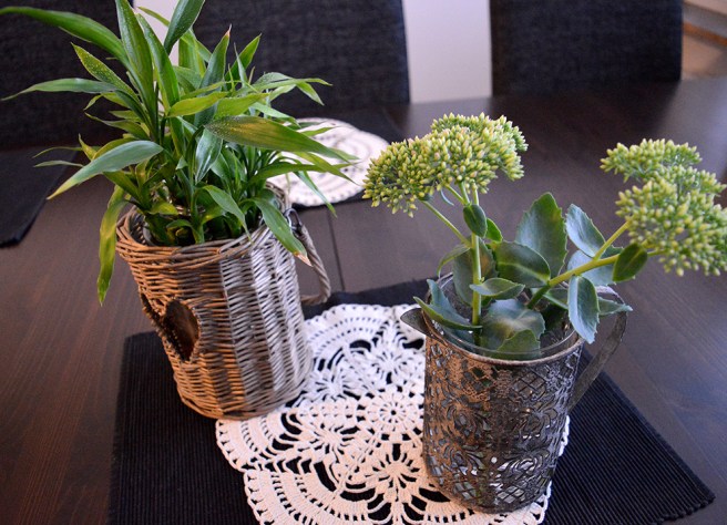 Kärleksörten finns ute i kruka på balkongen. Knep av två klasar och väntar på att de ska ändra färg här inomhus.