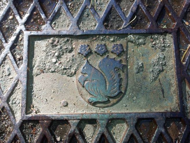 Verkligen läckert med bild av ekorre!