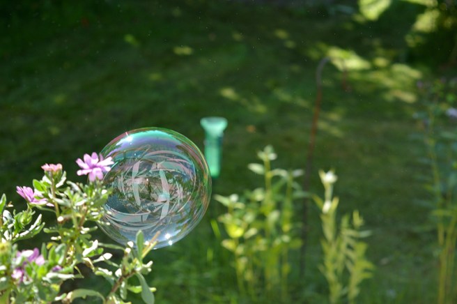 En bubbla på sin färd genom trädgården. Spännande med speglingarna i den.