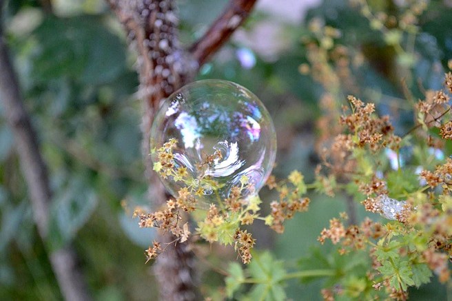 När en bubbla fastnade i växtligheten fick jag en idé.