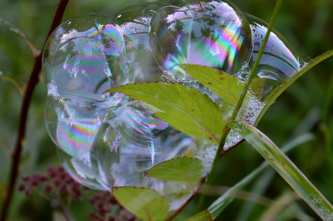 Bubblor som omfamnar varandra.