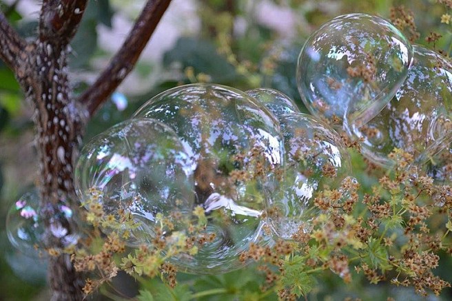 En familj av såpbubblor.
