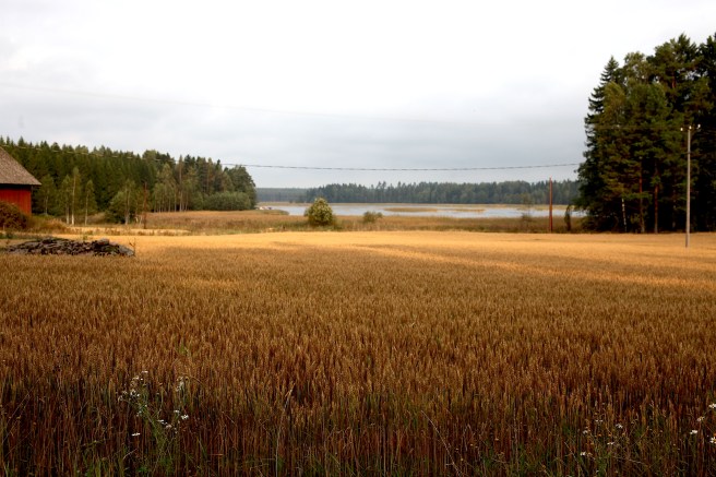 Här kan man ana att hösten är i antågande. Väldigt vackert, men stämningar är ju svårfångade på bild.
