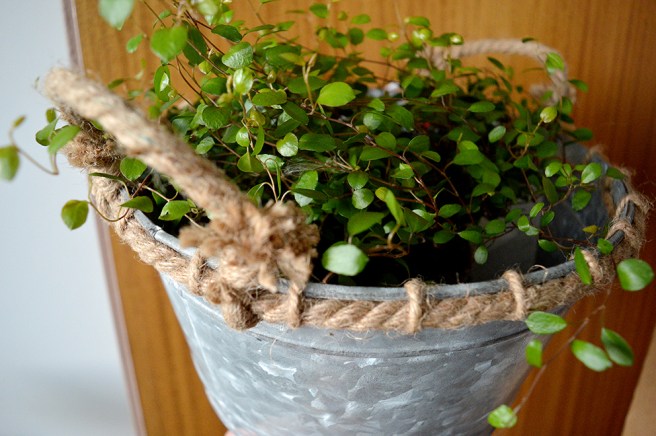 Ny slideranka i zinkbalja prydd med rep.