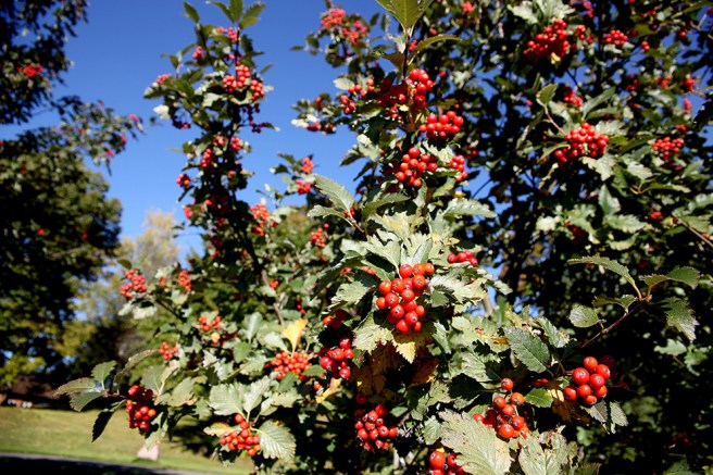 Vacker höstvy i Lappträsk.