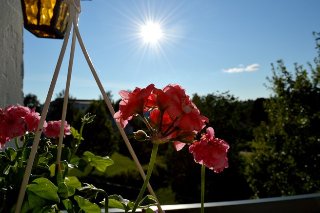 Sol från klarblå himmel och +20 grader då vi redan gått tio dagar in i september.