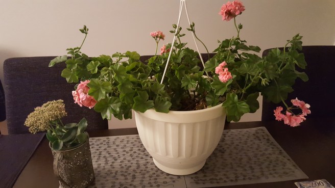 Hoppas du trivs inomhus!