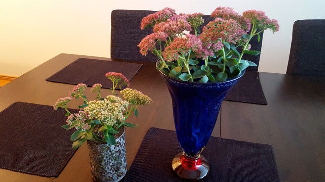 De ljusare blommorna i den lilla vasen tog jag in för flera veckor sedan. De har fått rötter. De i röd nyans tog jag in i dag.