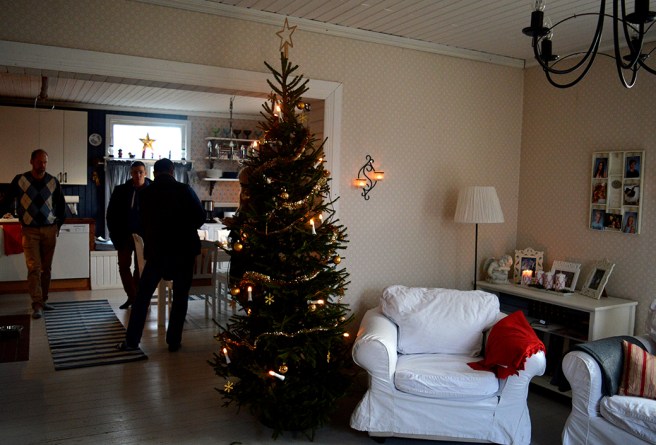 Granen står grön och grann i stugan. Villa Limppu, Kuhlefeltsgatan.