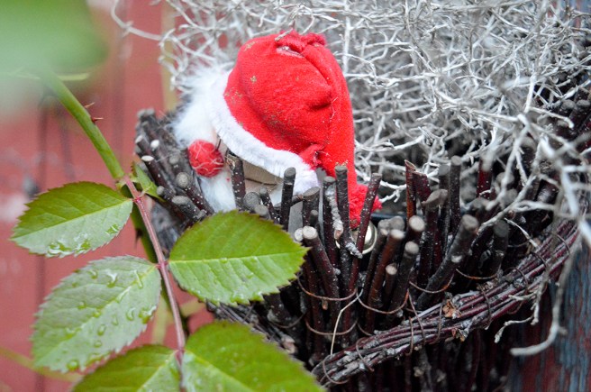 Tomten vilar i sitt bo. Undrar om det är sommar eller vinter...